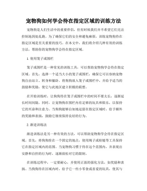 宠物狗如何学会待在指定区域的训练方法