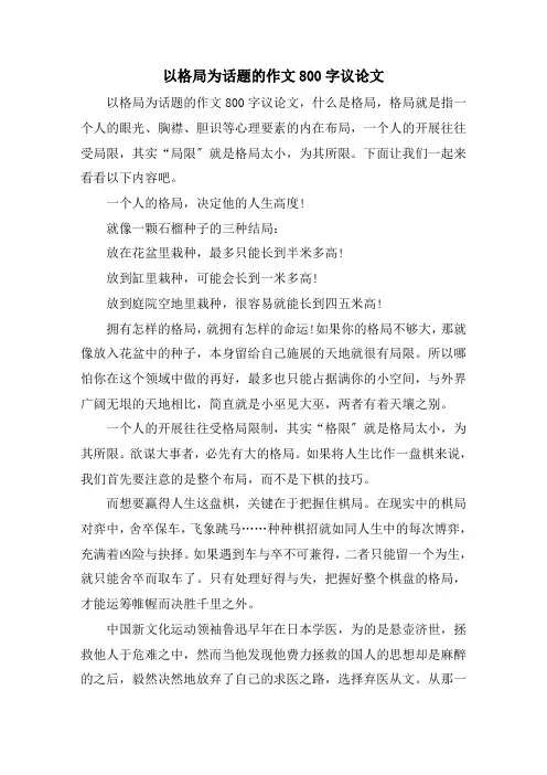 以格局为话题的作文800字议论文