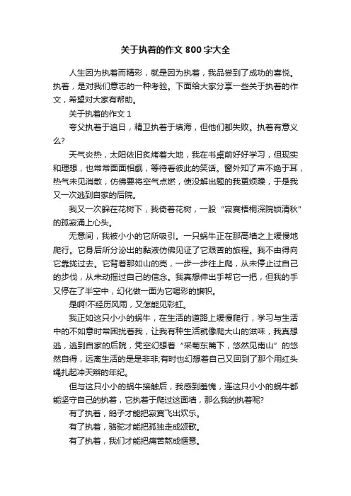 关于执着的作文800字大全