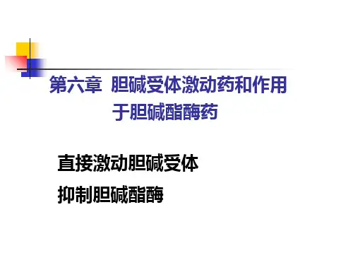 第6章胆碱受体激动药和作用于胆碱酯酶药ppt课件