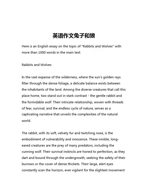 英语作文兔子和狼