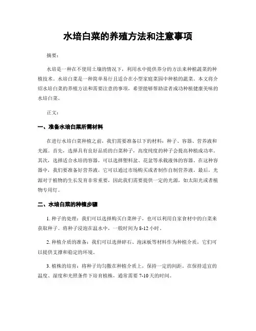 水培白菜的养殖方法和注意事项