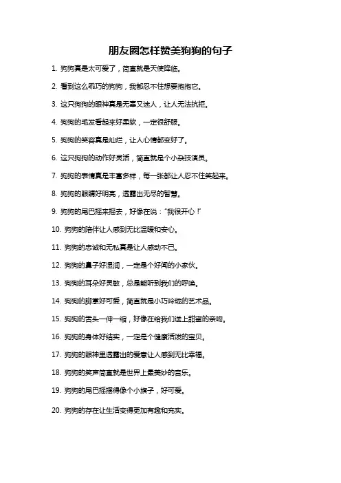 朋友圈怎样赞美狗狗的句子