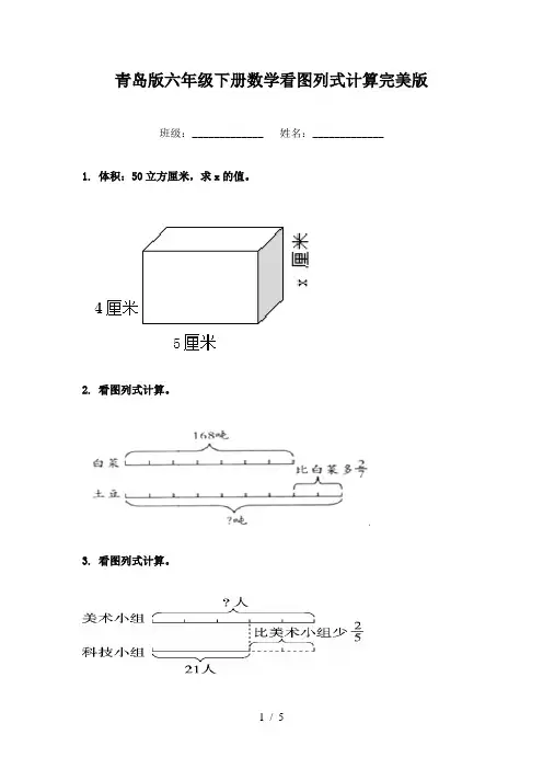 青岛版六年级下册数学看图列式计算完美版