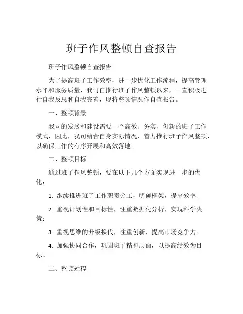 班子作风整顿自查报告