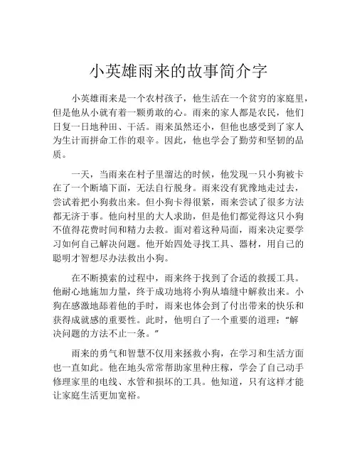 小英雄雨来的故事简介字