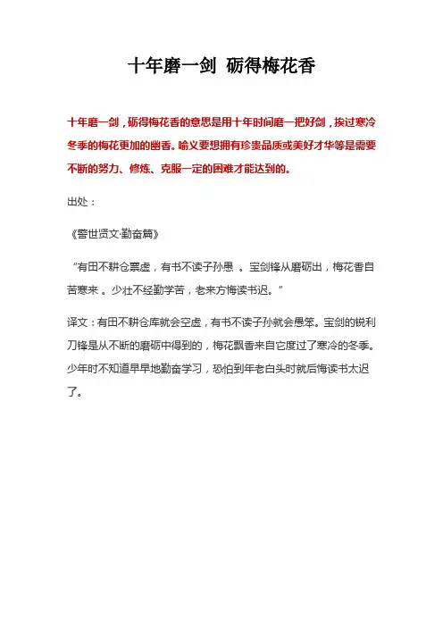 十年磨一剑 砺得梅花香