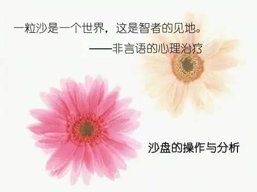 沙盘理论 课件-PPT课件