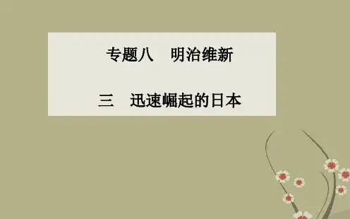 高中历史 专题八、三迅速崛起的日本课件 人民版选修1