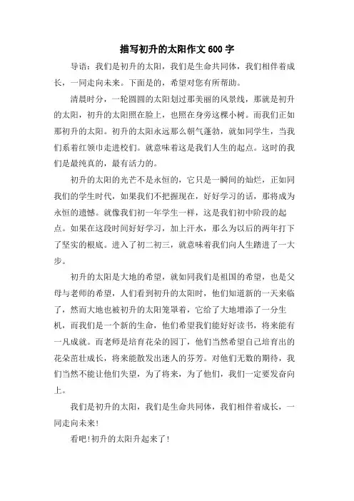 描写初升的太阳作文600字