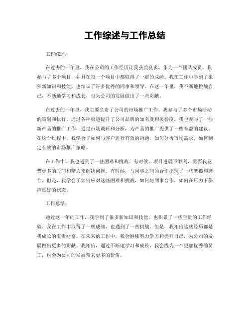 工作综述与工作总结