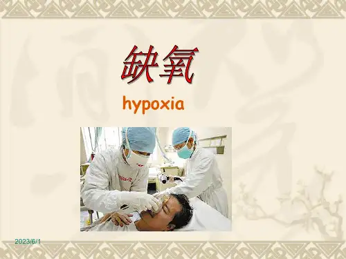 《病理生理学》课件 缺氧 ppt