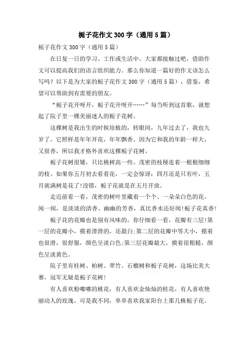 栀子花作文300字(通用5篇)