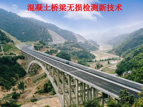 [桥梁检测技术培训讲义789页PPT_PPT