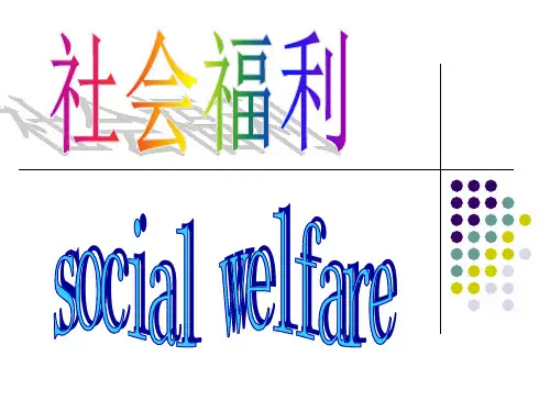 社会福利比较