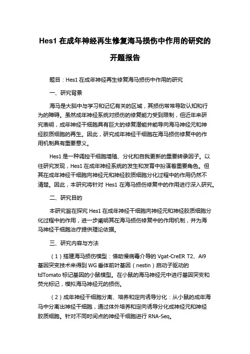 Hes1在成年神经再生修复海马损伤中作用的研究的开题报告
