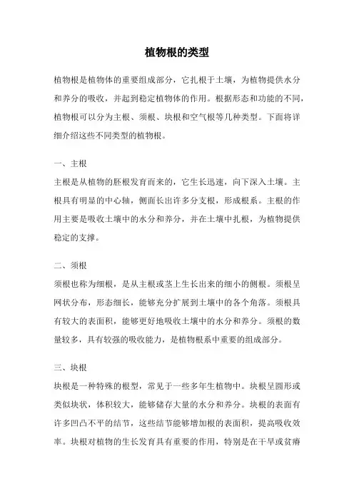 植物根的类型