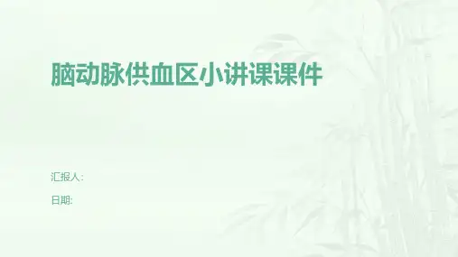 脑动脉供血区小讲课课件