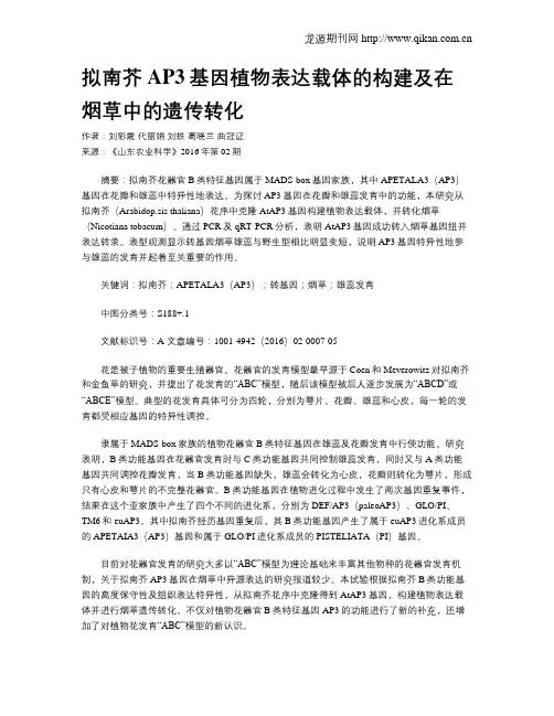 拟南芥AP3基因植物表达载体的构建及在烟草中的遗传转化