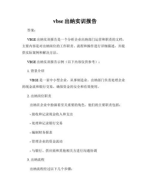 vbse出纳实训报告