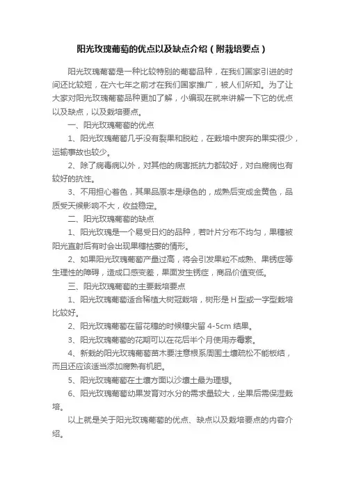 阳光玫瑰葡萄的优点以及缺点介绍（附栽培要点）
