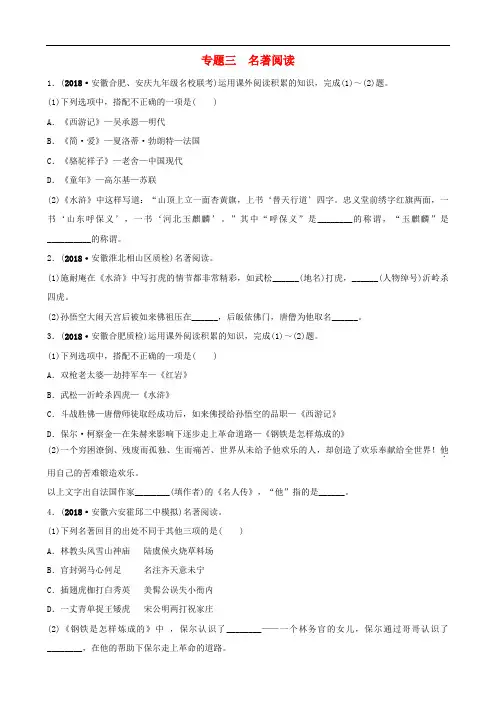 安徽中考语文专题复习三名著阅读训练