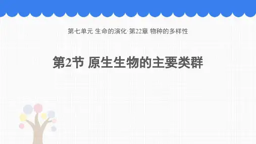 新北师大版八年级生物下册《原生生物的主要类群》ppt教学课件