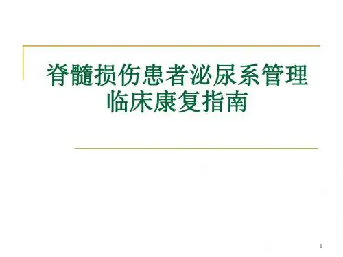 脊髓损伤患者泌尿系管理指南PPT医学课件