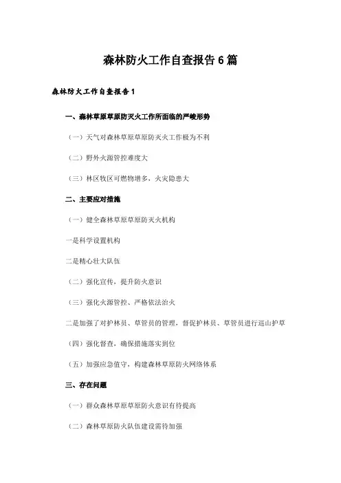 森林防火工作自查报告6篇