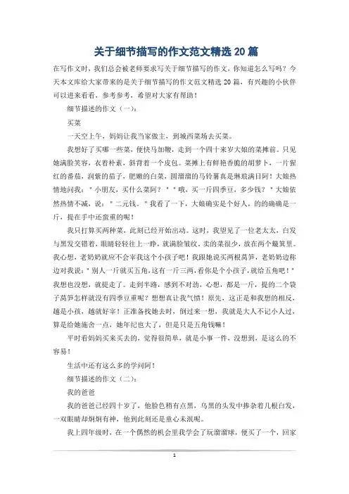 关于细节描写的作文范文精选20篇