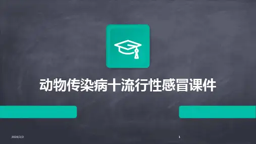 2024版年度动物传染病十流行性感冒课件