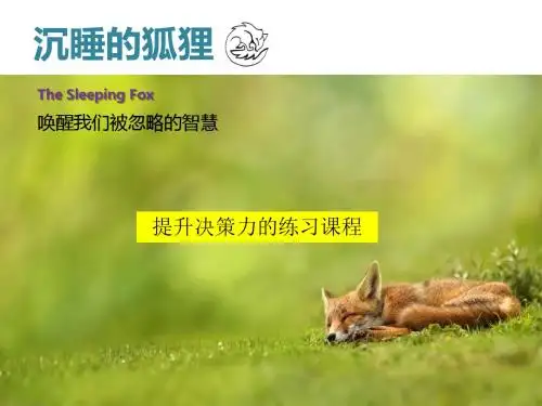沉睡的狐狸课件-王丹维