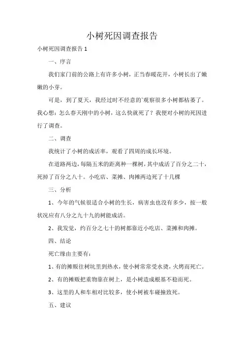 小树死因调查报告