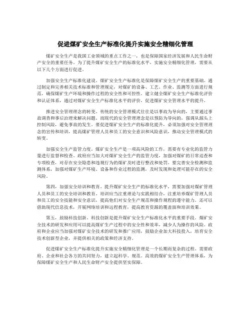 促进煤矿安全生产标准化提升实施安全精细化管理