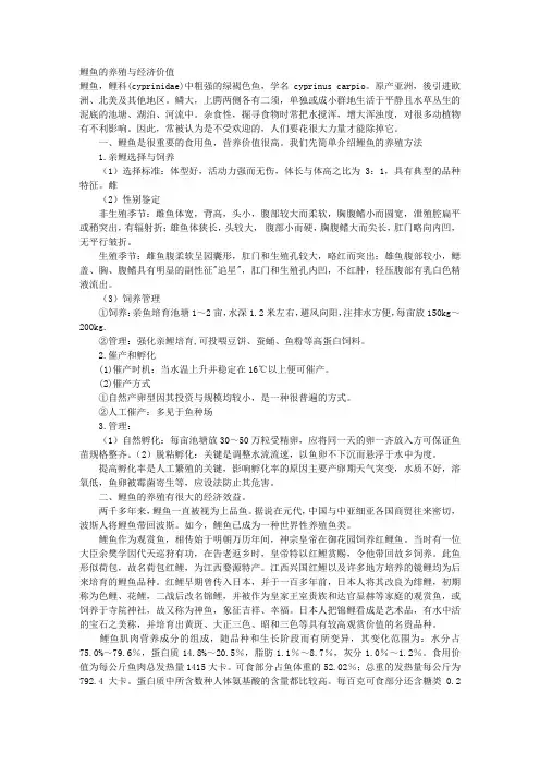 鲤鱼的养殖与经济价值