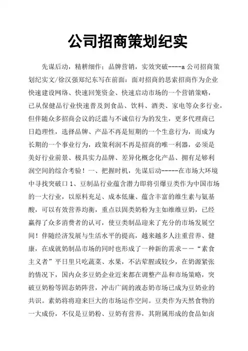 公司招商策划纪实