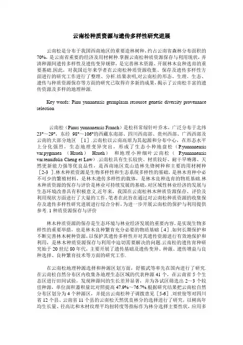 云南松种质资源与遗传多样性研究进展
