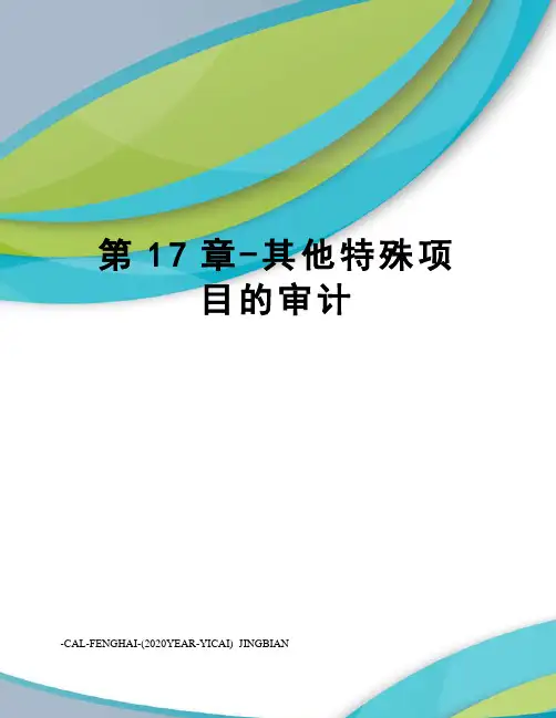 第17章-其他特殊项目的审计