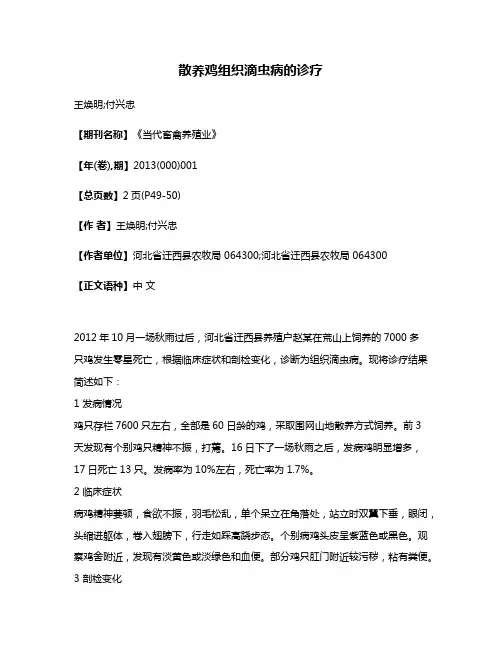 散养鸡组织滴虫病的诊疗
