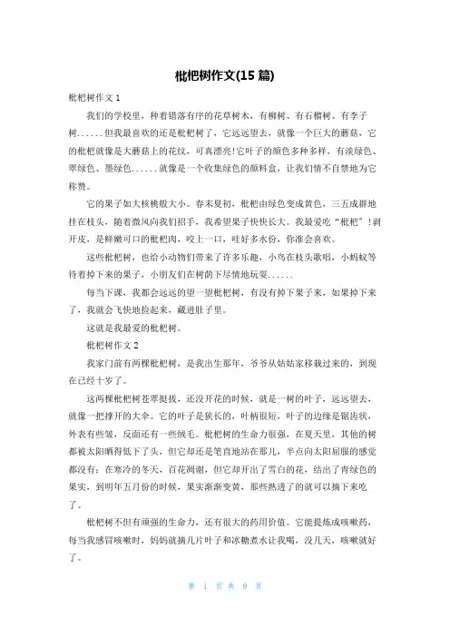 枇杷树作文(15篇)