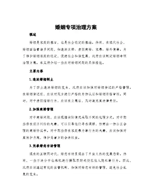 婚姻专项治理方案