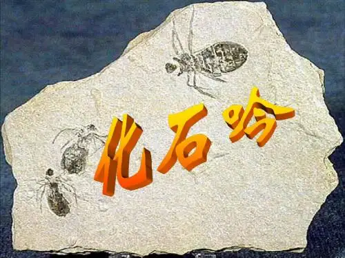 人教版新课标语文七年级上册《化石吟》公开课PPT