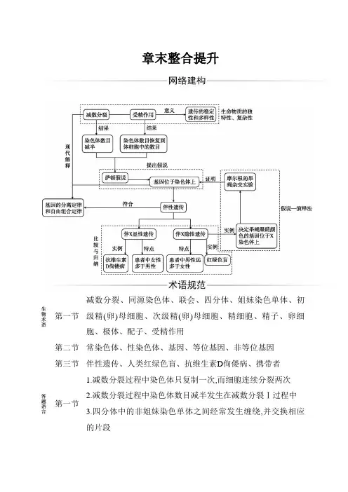 生物人教必修2第2章第2章 章末整合提升
