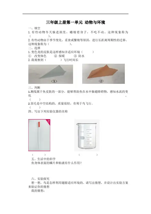 青岛版小学科学三年级上册第一单元检测题