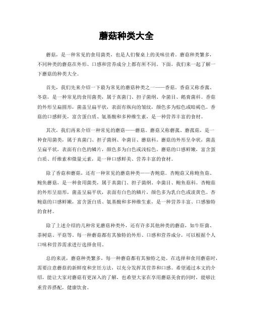 蘑菇种类大全