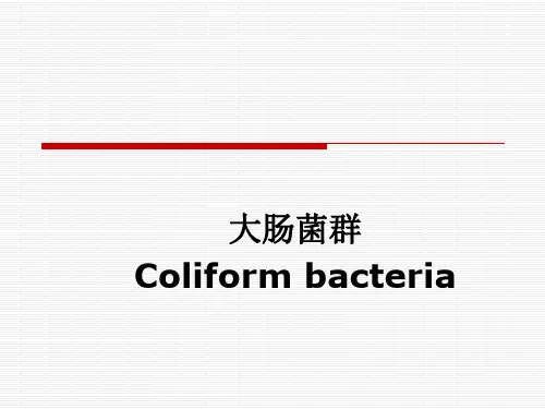 培训讲义-大肠菌群