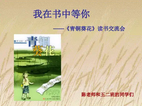 推荐-我在书中等你青铜葵花读书交流会 精品