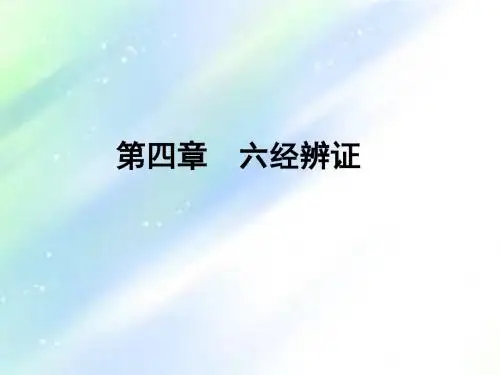 六经辨证ppt