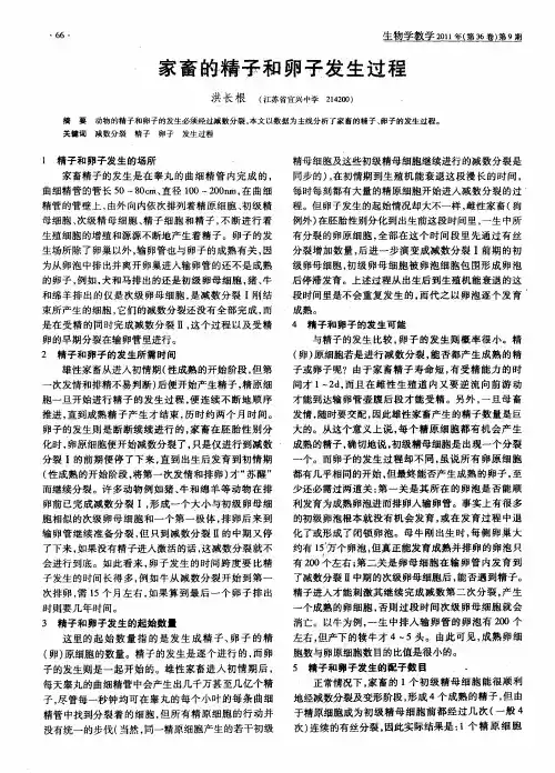 家畜的精子和卵子发生过程