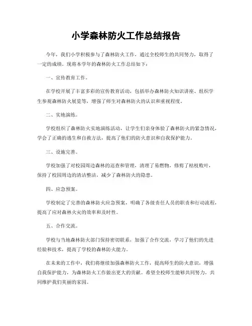 小学森林防火工作总结报告